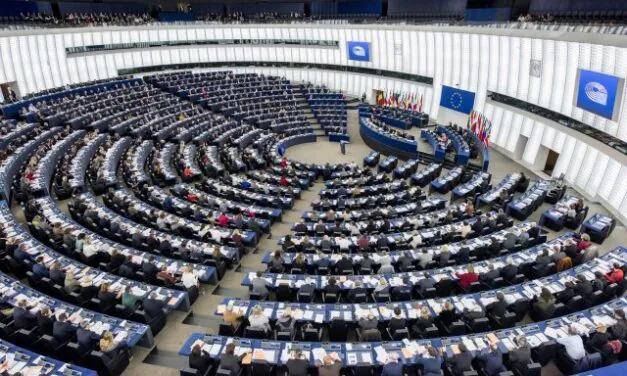 HRVATSKI EUROPARLAMENTARCI: Hoćemo li tako u Evropu?