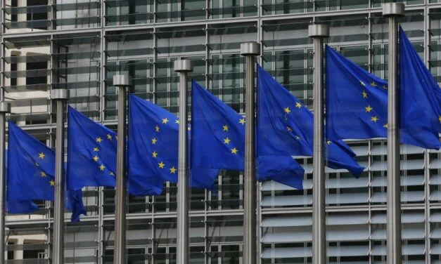 EU TRAŽI OD DRUŠTVENIH MREŽA VEĆE NAPORE U BORBI PROTIV DEZINFORMACIJA