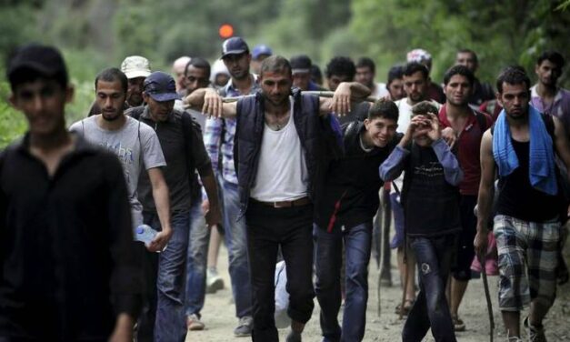 MEDIJI, LAŽNE VIJESTI I PANIKA: Migranti napadaju nevine građane!