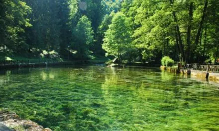 Nelegalna gradnja na Vrelu Bosne: Kako PRIVREMENE DOZVOLE POSTAJU TRAJNE