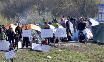 Migranti – dobro uigrana strategija protiv BiH