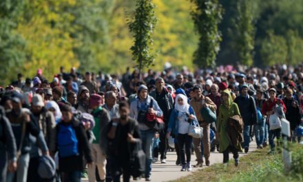 FAKE&SPIN: Opipljiva mržnja prema migrantima