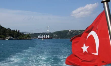 Protesti širom Turske nakon novog vala hapšenja novinara