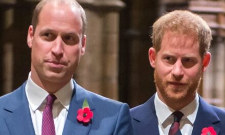 Prinčevi William i Harry: Mediji objavili uvredljive članke
