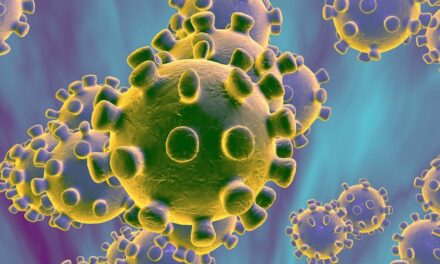 Lažne informacije o koronavirusu testiraju sposobnost društvenih medija da se bave dezinformacijama