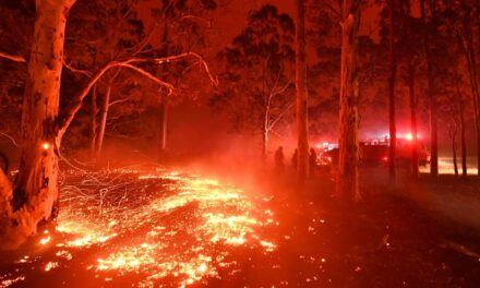 Društvenim mrežama šire se lažne fotografije požara u Australiji