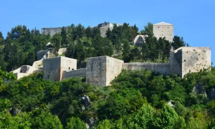 AMER OBRADOVIĆ: U  Stocu niču križevi inata