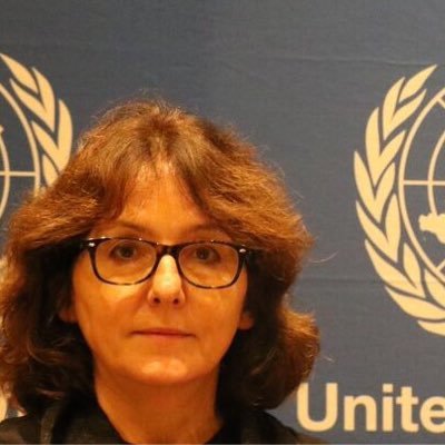 Posebna izvjestiteljica UN-a predstavlja izvještaj o nasilju nad novinarkama