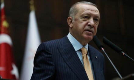SENAD AVDIĆ: Erdogan nema pravo koristiti genocid u Srebrenici za obračune sa Zapadom