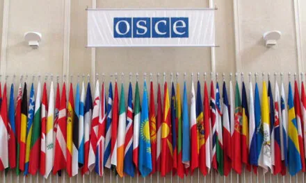 OSCE izradio poseban izvještaj o postupanju prema novinarima tokom javnih protesta