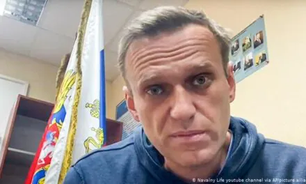 Pet i po godina zatvora zbog izvještavanja o Navaljnom