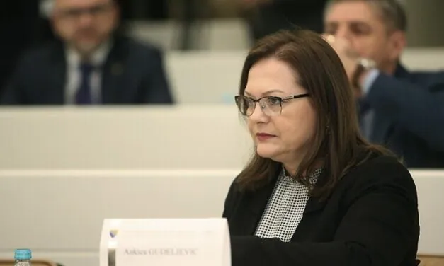 FTV I BHT1: Znate li ko je Ankica Gudeljević?