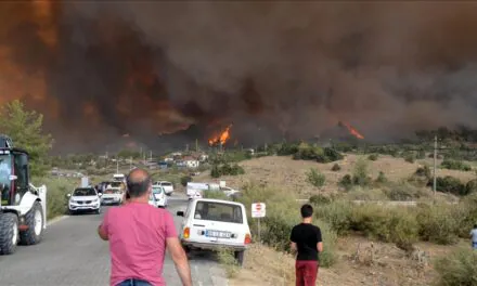 Hashtag ‘Pomozite Turskoj’ pod istragom zbog širenja panike