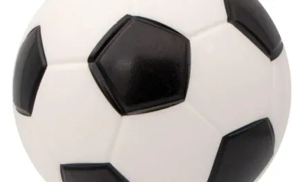 Tim menadžer u Fudbalskom savezu prijetio novinarki lista Danasa Snežani Čongradin