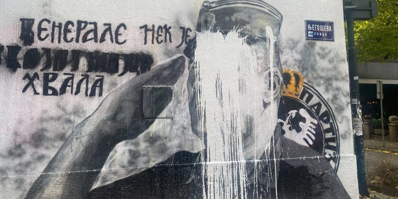 Srbijanska novinarka Snežana Čongradin napadnuta tokom protesta