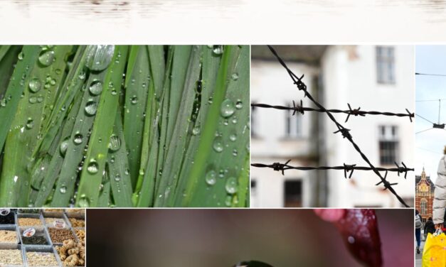 Pokrenuta “Foto baza”, prvi photo stock u Bosni i Hercegovini