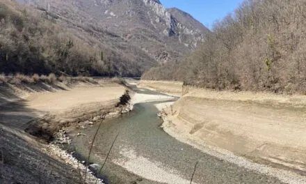 Divna nam je zemlja. Kad bismo bili bar upola toliko dobri