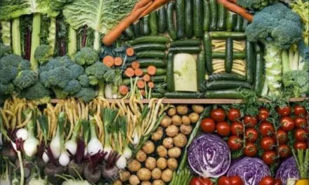 LUKA OMAN: Trpjeli smo pogrde i poniženja, ali budućnost će biti veganska