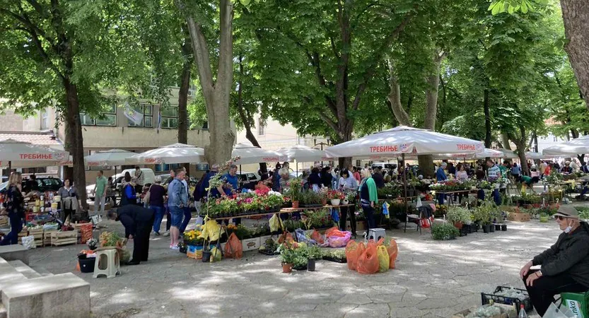 Uticaj Dubrovnika na život prosječne prodavačice