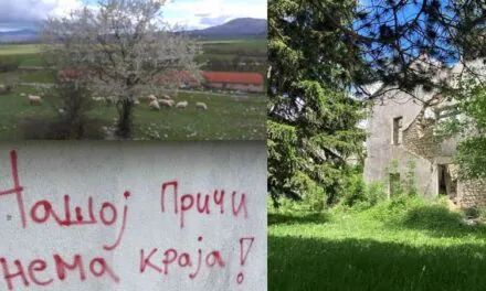 Ma, kakav lopov, vuk je to!