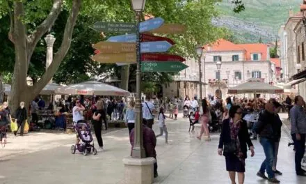 Hercegovačka izborna bašta ima svašta