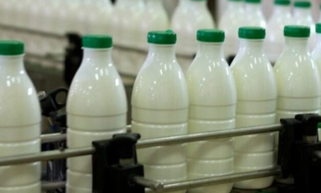 BHT1 I FTV: Hoće li mljekari obustaviti proizvodnju?
