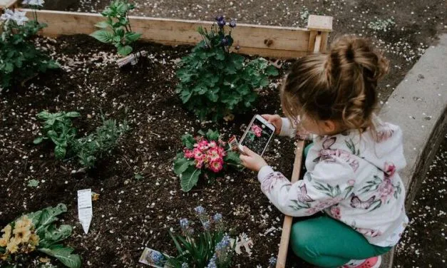 Djetinjstvo 2.0: Mogu li djeca uživati u odrastanju bez ekrana?