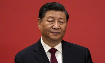 RSF organizirao proteste zbog posjeta Xi Jinpinga Francuskoj