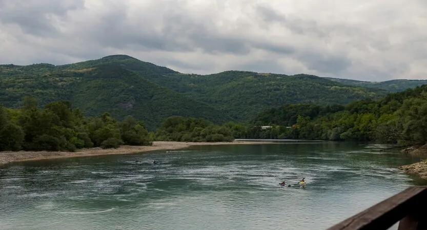 SALLA PRED NAŠE DUŠE: Na Drini Alan Kurdi