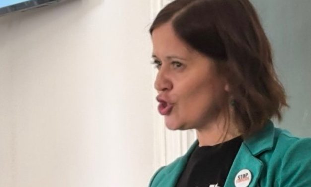 Gorjana Mirčić Čaluković o prevenciji i procesuiranju rodno zasnovanog nasilja