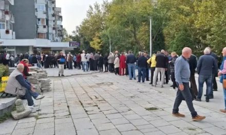 Elektronski CIPS i borba protiv birokratskih redova