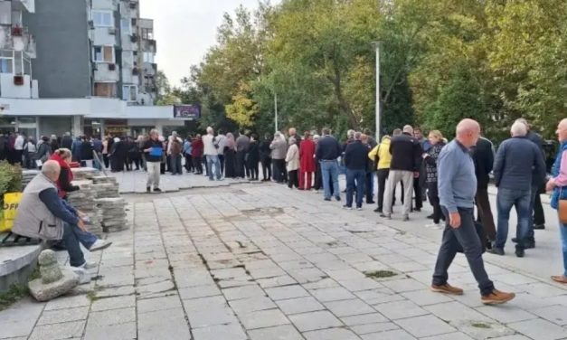 Elektronski CIPS i borba protiv birokratskih redova