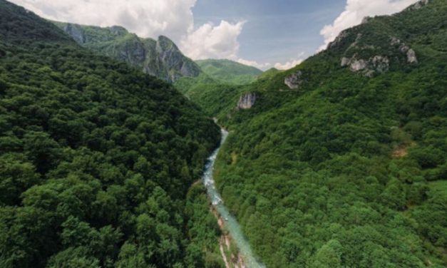 EVROPSKI NAUČNICI BH. VLASTIMA: Hitno preispitajte rad HE Ulog i istražite pomor ribe!