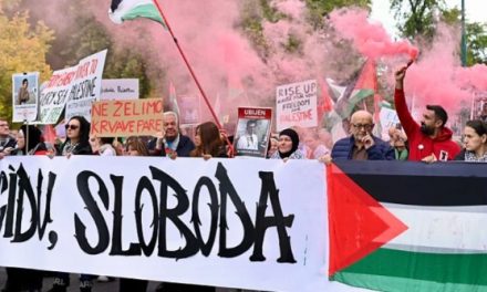 Masovni skup građana BiH za slobodnu Palestinu