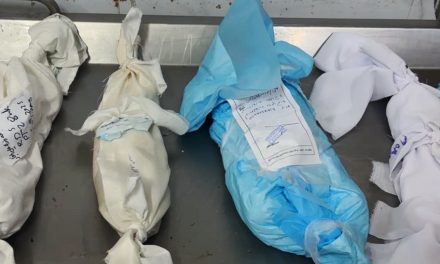 Naša djeca nestaju pred našim očima: U Gazi raste broj umrlih od gladi dok opsada traje