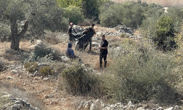 Ja sam novinar. Izrael me pritvorio jer sam dokumentirao berbu maslina na Zapadnoj obali
